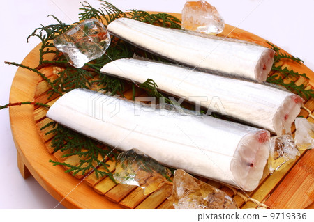 Sword fish Tatouo fillet raw ingredients White background 9719336