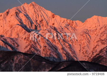 Kajima Spearfield at Morgen Roth 9719486