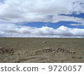 Tibet's Horizon 9720057