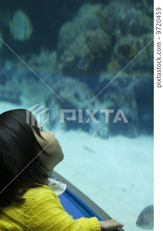 水族館 9720459
