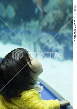 水族館 9720460