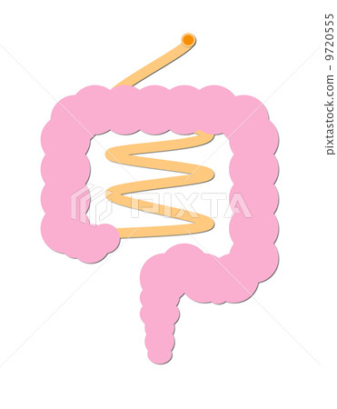 It is intestine. 9720555