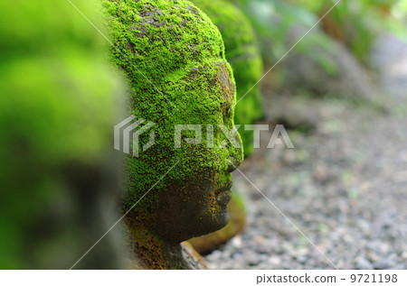 Bali 9721198