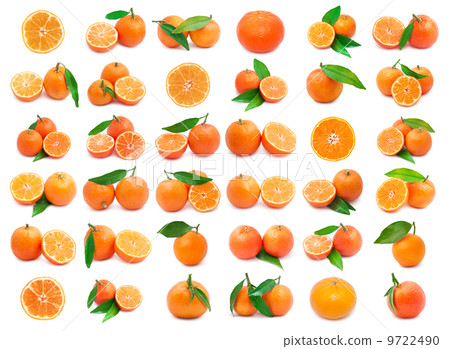 Mandarins 9722490