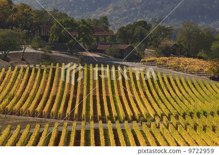 Napa Valley Napa Valley 9722959