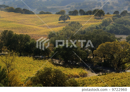 Napa Valley Napa Valley 9722960