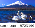 富士山和天鵝 9723190