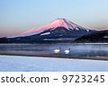 天鵝和紅山富士山 9723245