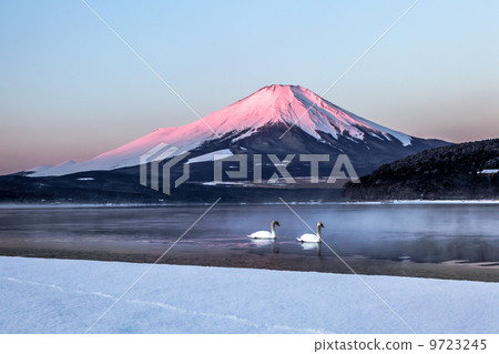 天鵝和紅山富士山 9723245