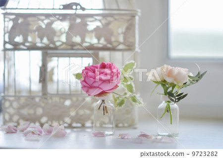 Pink flowers in small vases 9723282