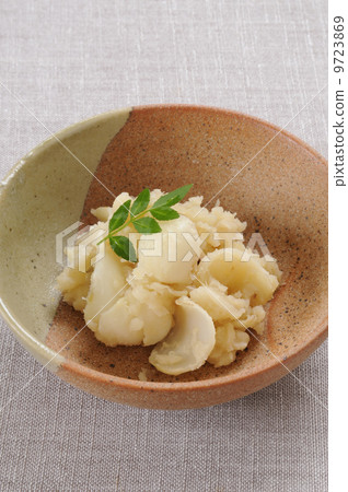 Yuri根kinton 9723869