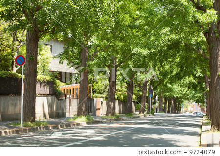 街樹 9724079