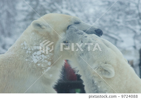 白色的天空 9724088