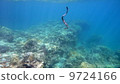 Sea snake 9724166