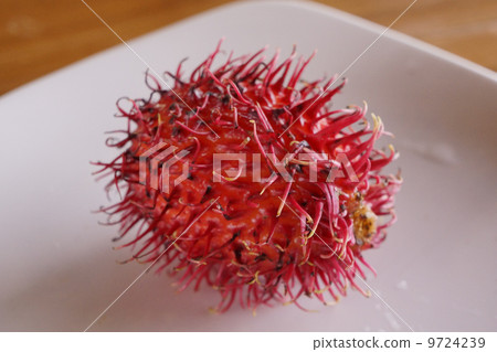 紅毛丹（印度尼西亞/巴厘島） 9724239