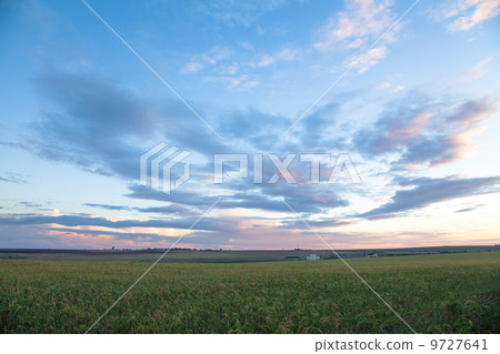 Summer landscape - wheat field Summer landscape - wheat field 9727641