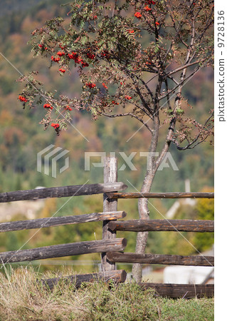 Autumn in the Carpathian Mountains Autumn in the Carpathian Mountains 9728136