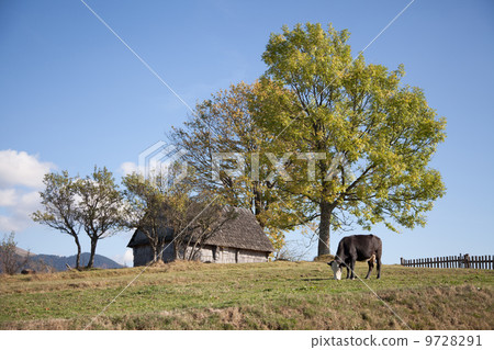 Autumn in the Carpathian Mountains 9728291