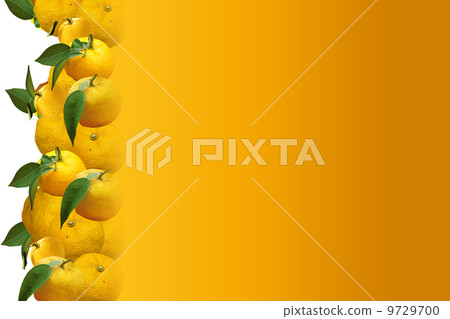 Yuzu background 9729700