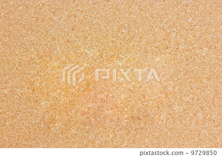 Corkboard Background. 9729850