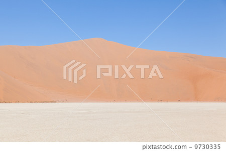View over the deadvlei with the famous red dunes of Namib desert View over the deadvlei with the famous red dunes of Namib desert 9730335
