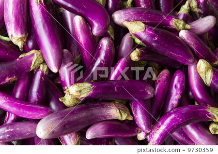 Eggplant or aubergine on a Vietnamese market Eggplant or aubergine on a Vietnamese market 9730359