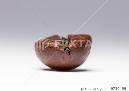 One coffee bean One coffee bean 9730469