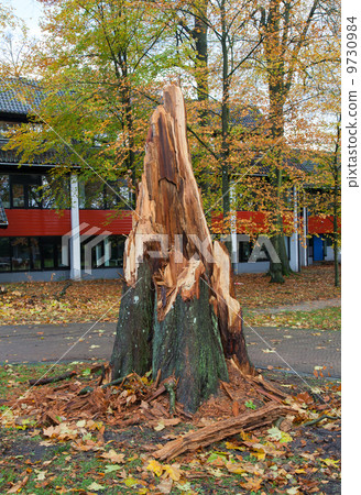 Storm damage Storm damage 9730984