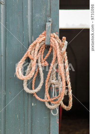 Old rope hanging Old rope hanging 9731098