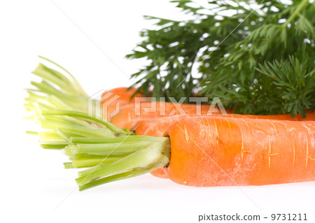 Heap of carrots Heap of carrots 9731211