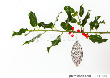Very old silver christmas ball hanging from a twig (butchers bro Very old silver christmas ball hanging from a twig (butchers bro 9731381