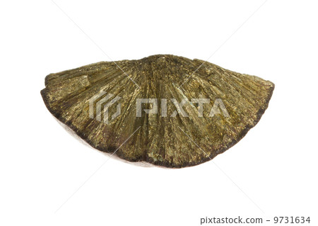 Gold painted stone 9731634