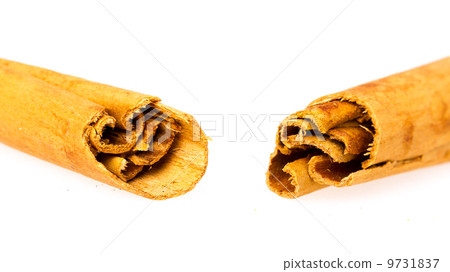 One broken cinnamon stick isolated on white background One broken cinnamon stick isolated on white background 9731837
