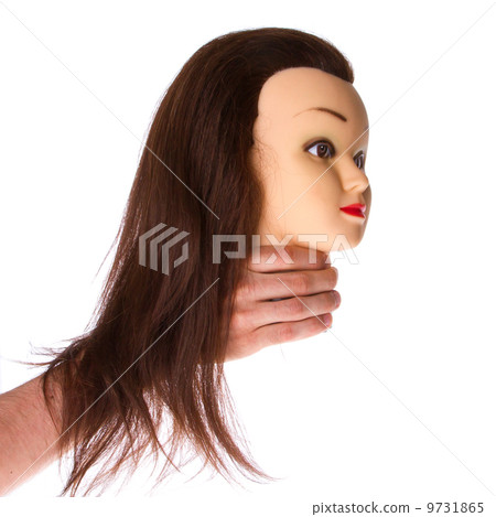 Hand holding a puppet (hair styling) 9731865