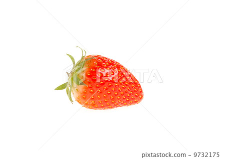 A fresh strawberry A fresh strawberry 9732175