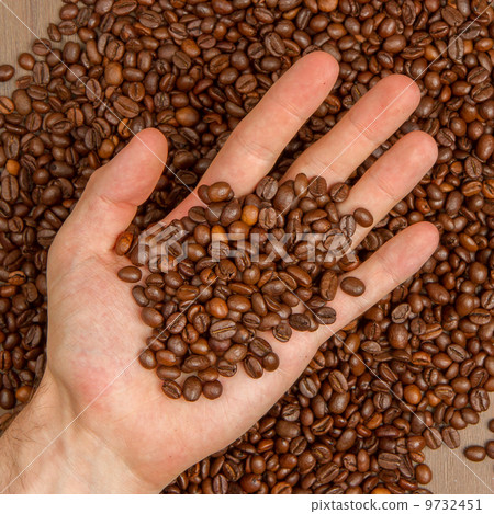Coffee beans in hand Coffee beans in hand 9732451