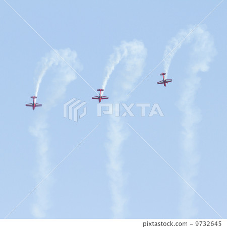 Royal Jordanian Falcons 9732645