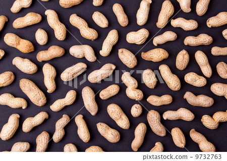 Roasted in-shell peanuts Roasted in-shell peanuts 9732763