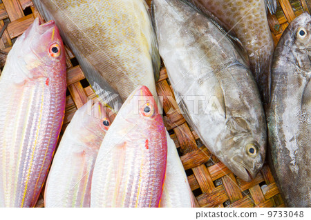 Close up of lovely fresh fish in a wet market 9733048