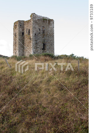 A ruin in the Irish landscape A ruin in the Irish landscape 9733189