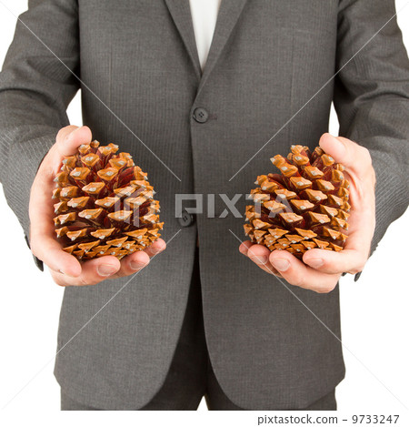 Man in grey suit is holding two pine cones 9733247
