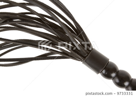 Leather whip isolated 9733331