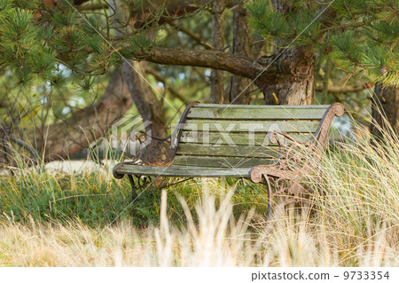 Old steel bench in the dutch nature Old steel bench in the dutch nature 9733354