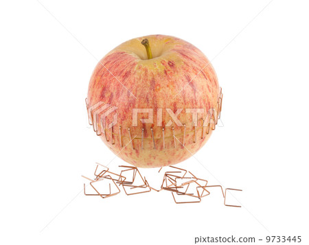 Sliced apple halves 9733445