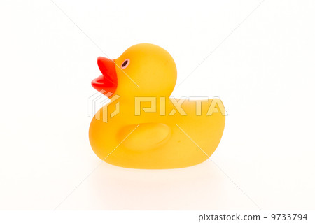 Orange duck isolated 9733794