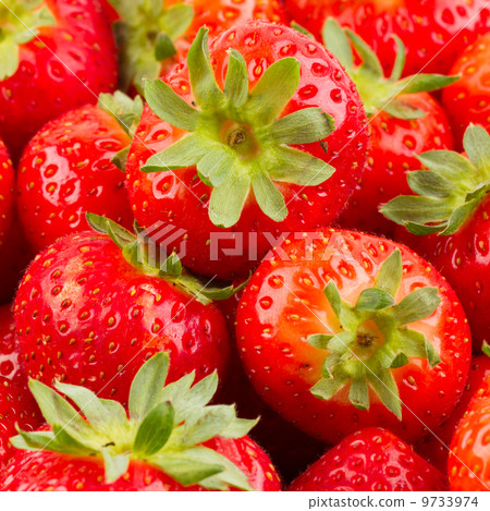 Fresh strawberry Fresh strawberry 9733974