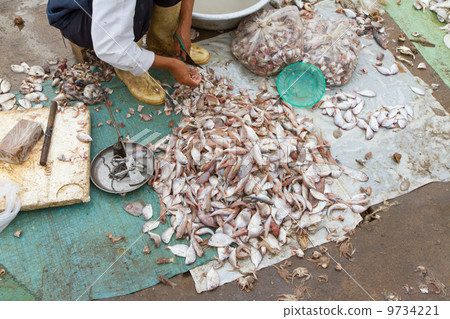 Freshly catch fish on a market Freshly catch fish on a market 9734221