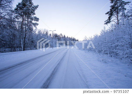 Winter evening forest with road covered with snow Winter evening forest with road covered with snow 9735107