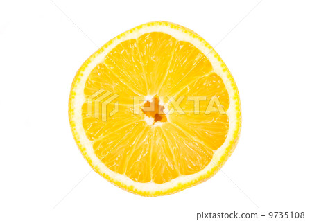 Slice of lemon fruit isolated Slice of lemon fruit isolated 9735108