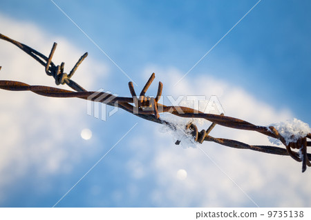 barbed wire in the snowy meadows barbed wire in the snowy meadows 9735138
